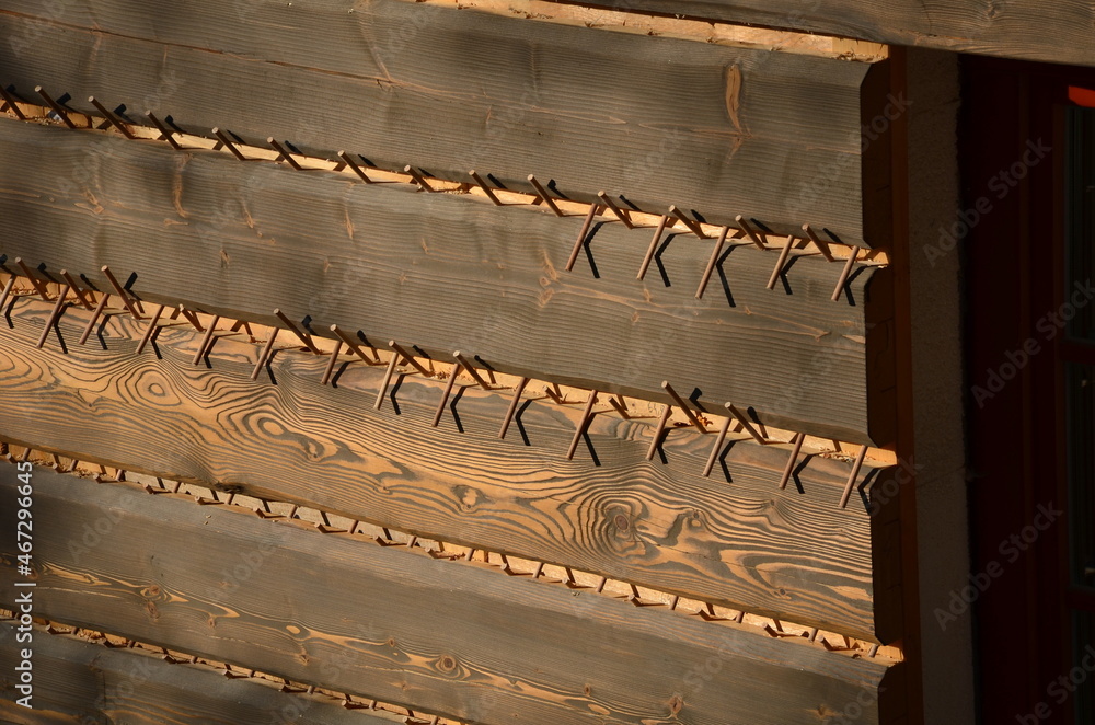 Naklejka premium tiling wooden cottage planks with beveled edges. timbered structure connected by wooden pins. pins replace screws and nails. after joining, they are cut off and the boards on the wall are held firmly