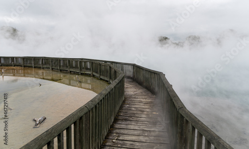 Geothermal lake in Kuirau Park  Rotorua  New Zealand