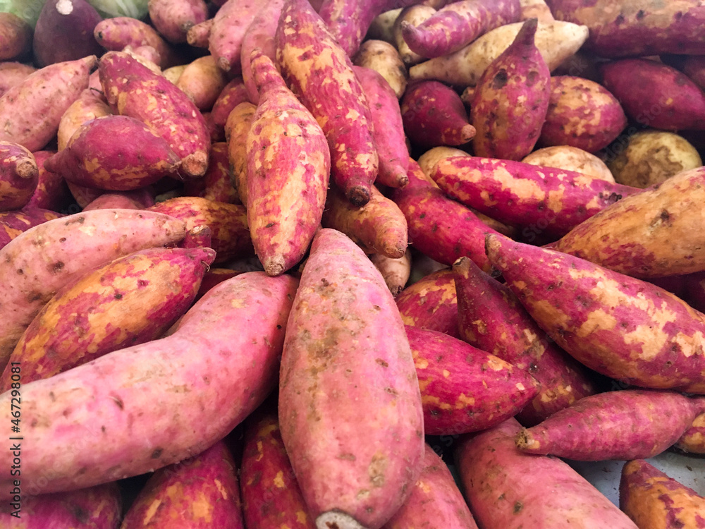 Healthy food, raw fresh sweet red potatoes in the market, good for diet.
Healthy food, raw fresh sweet red potatoes in the market, good for diet.