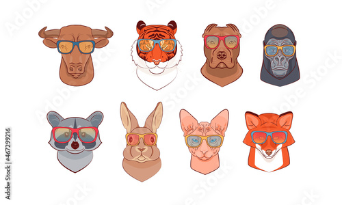 set of portraits of domestic and wild animals in sunglasses in lineart style. Fox heads, raccoon, cat, dog, bull, rabbit, tiger, gorilla. Vector illustration. Prints for T-shirts, notebooks, shoppers