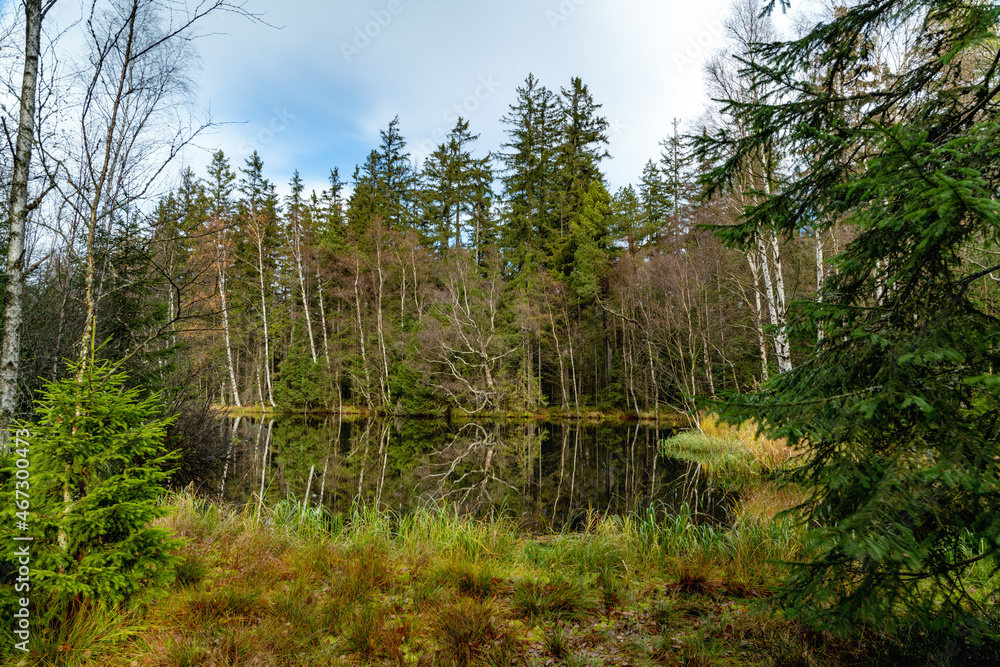 Fototapeta premium Preserved natural area Kladska (Glatzen) near small west bohemian spa town Marianske Lazne (Marienbad) - Czech Republic