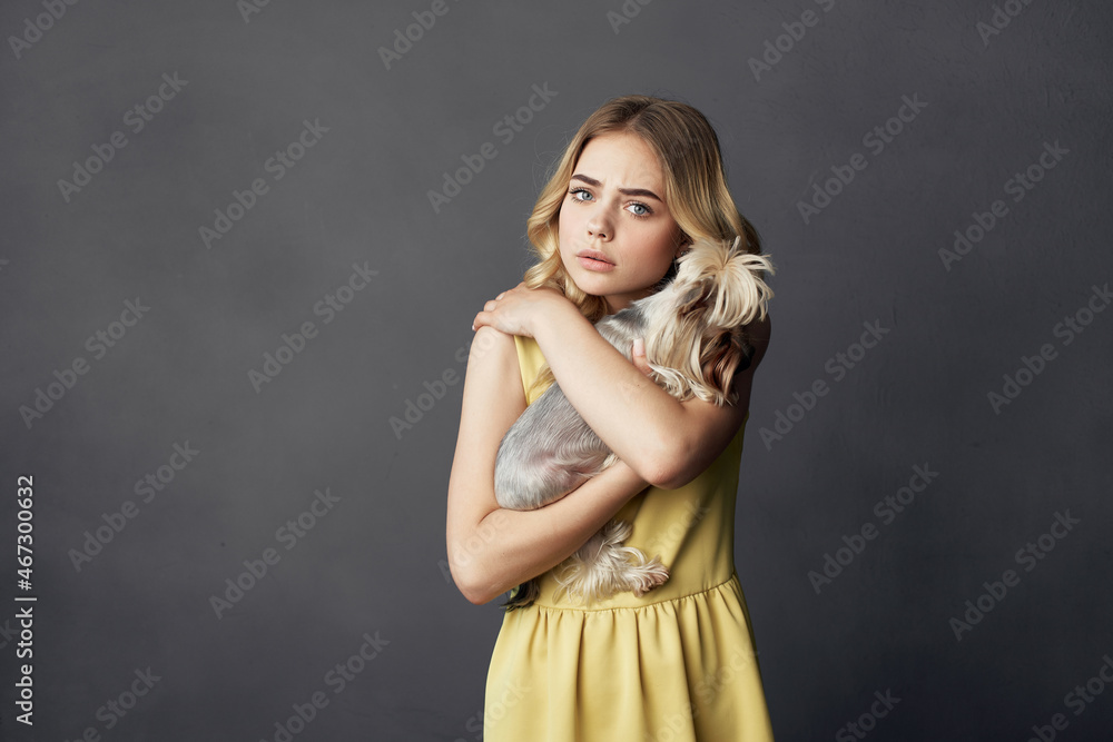 Fototapeta premium woman a small dog pet fun cropped view fashion