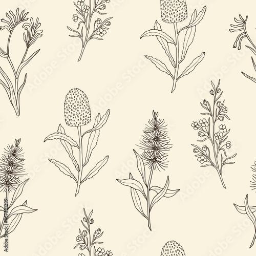 Hand drawn seamless pattern with Australian native flowers