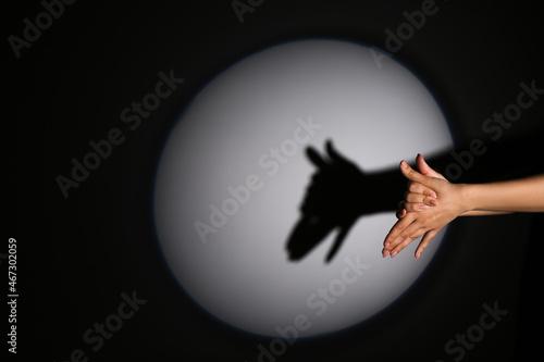 Billede på lærred Woman performing a shadow play