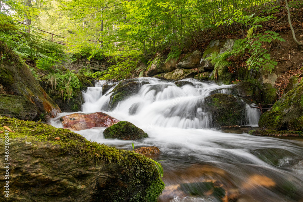 waterfall in the forest