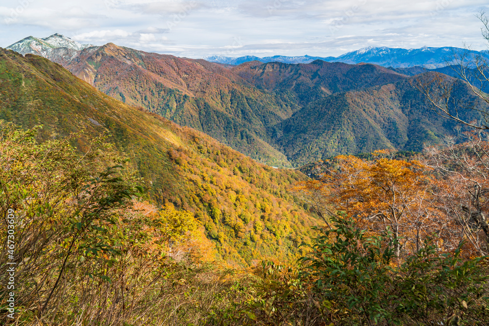 群馬県・秋の谷川岳　登山道からの眺め【Autumn leaves of Mt. Tanigawa in Gunma Prefecture, Japan】