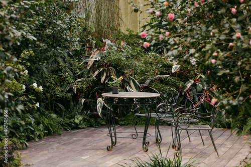 Fototapeta Naklejka Na Ścianę i Meble -  Tea table and flowers in garden