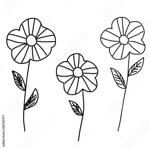 お花のイラスト素材
