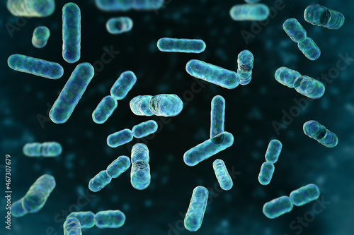Bacteria Bacteroides, 3D illustration photo