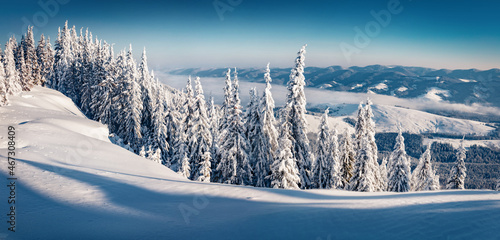 Beautiful winter scenery. Bright outdoor scene of mountain valley. Fir trees covered by fresh snow in Carpathian mountains. Panoramic winter view with Pip Ivan summit, Ukraine, Europe.