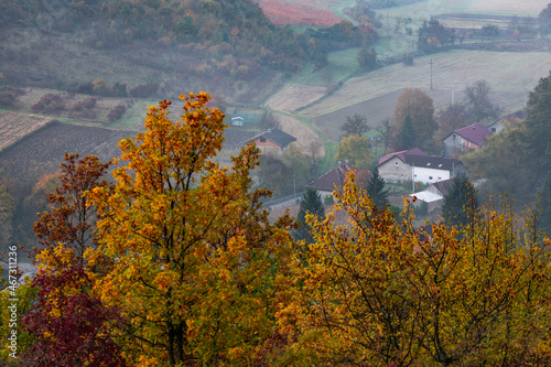 Foggy morning. Zagreb region. Croatia photo