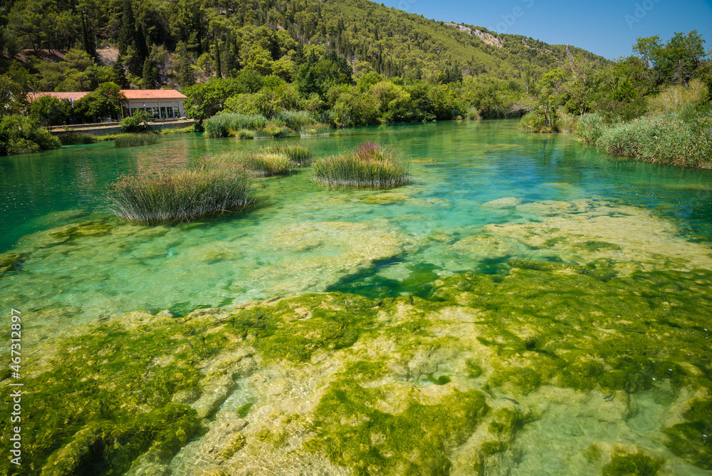 Obraz premium Crystal clear water near the beautiful Skradinski buk waterfall in Krka National Park, Croatia