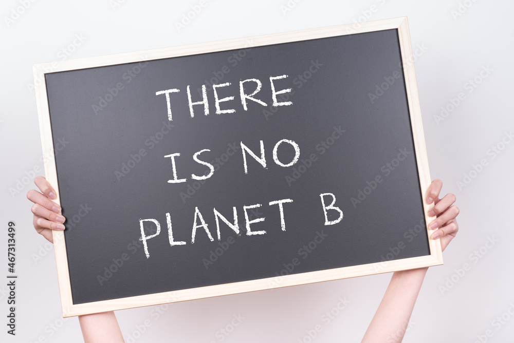 Two hands hold up a blackboard on which THERE IS NO PLANET B is written
