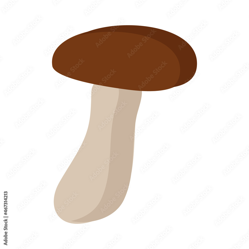 Mushroom with a dark brown cap on a white background for use in clipart Mushroom with a dark brown cap on a white background for use in clipart