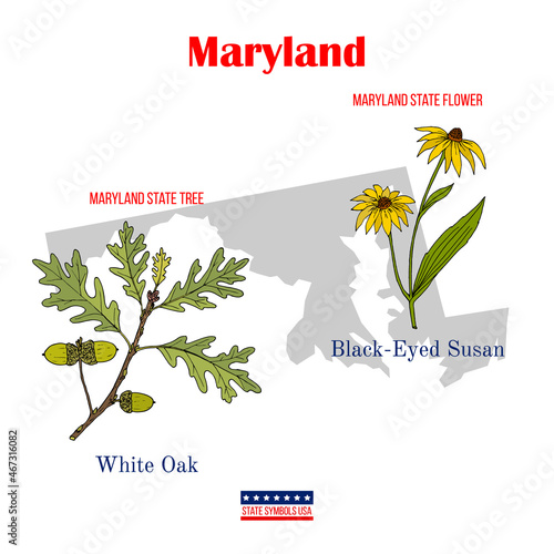 Maryland. Set of USA official state symbols