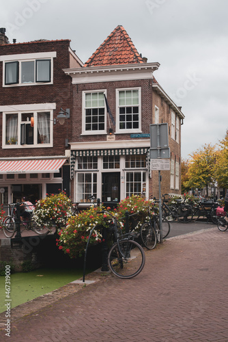 bicycles and flowers in dutch town © Alena Petrachkova