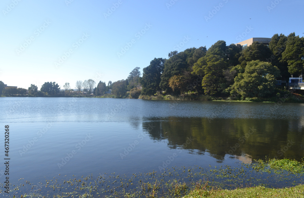 paradise park , concepcion lake 