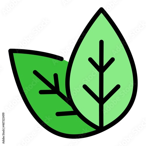 Basil plant leaf icon. Outline basil plant leaf vector icon color flat isolated