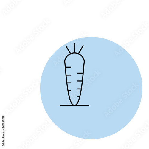 Carrot icon vector design flat