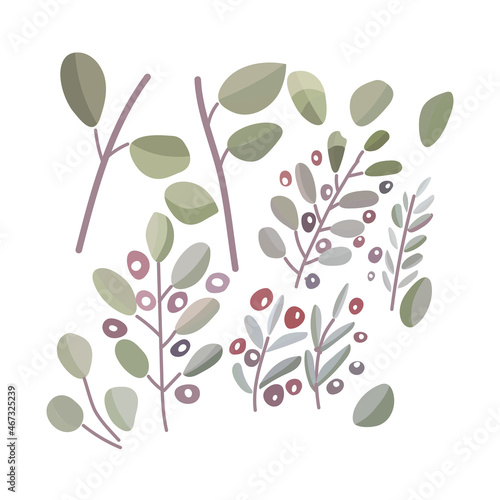 blue berries fruits branch vector illustration