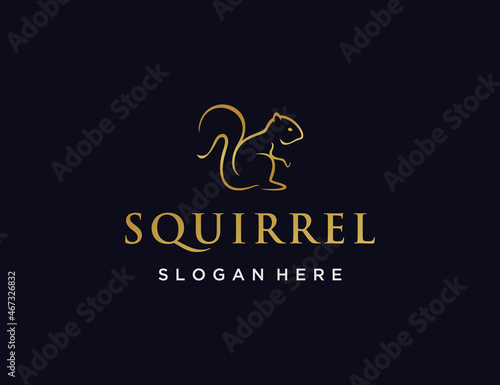 Luxury line art squirrel logo template