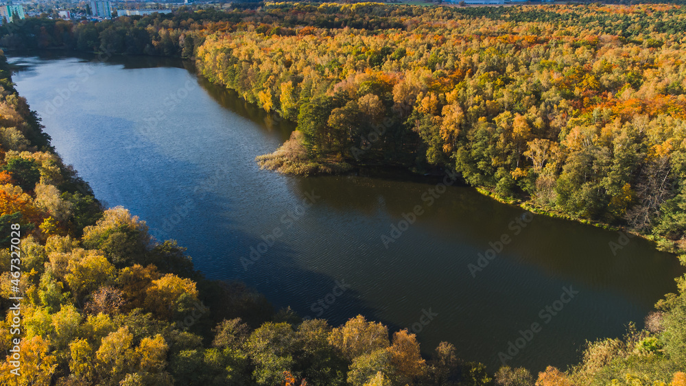Fototapeta premium Beautiful autumn view of the forest areas and the lake. Gdańsk Stogi.