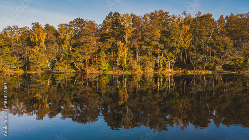 Beautiful autumn view of the forest areas and the lake. Gdańsk Stogi.