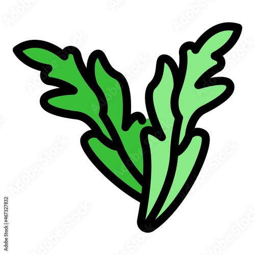 Plant arugula icon. Outline plant arugula vector icon color flat isolated