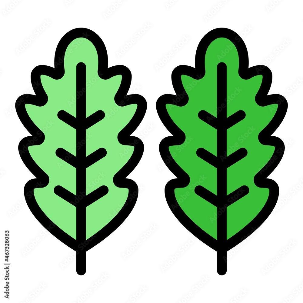 Bio arugula icon. Outline bio arugula vector icon color flat isolated Bio arugula icon. Outline bio arugula vector icon color flat isolated