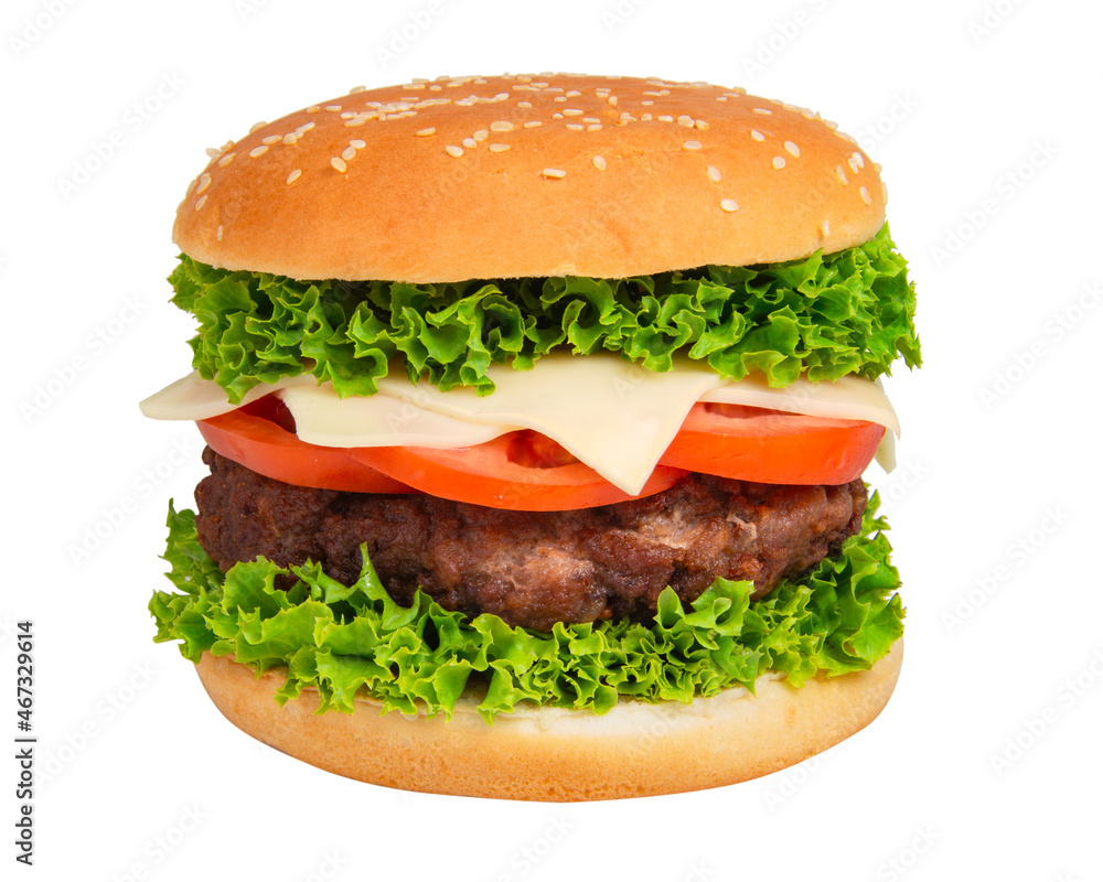 Burger tasty fast food isolated on the white background Burger tasty fast food isolated on the white background
