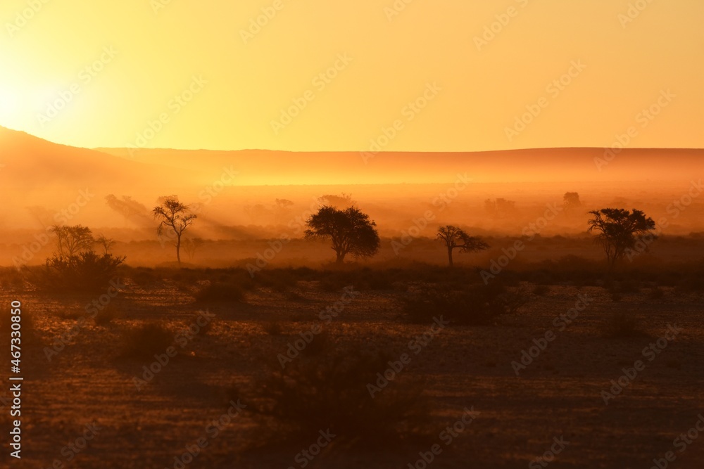 Abendstimmung: die Elimdüne erscheint im Licht der untergehenden Sonne bei Sesriem im Namib-Naukluft Nationalpark. 