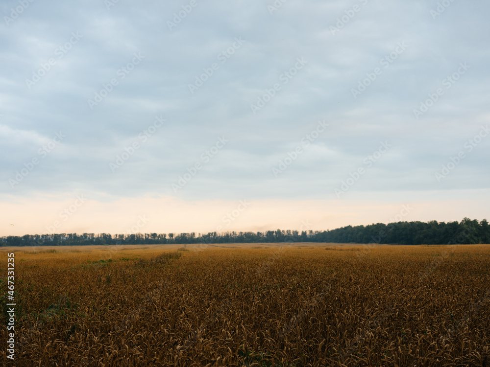 woman in the field walk vacation landscape travel woman in the field walk vacation landscape travel