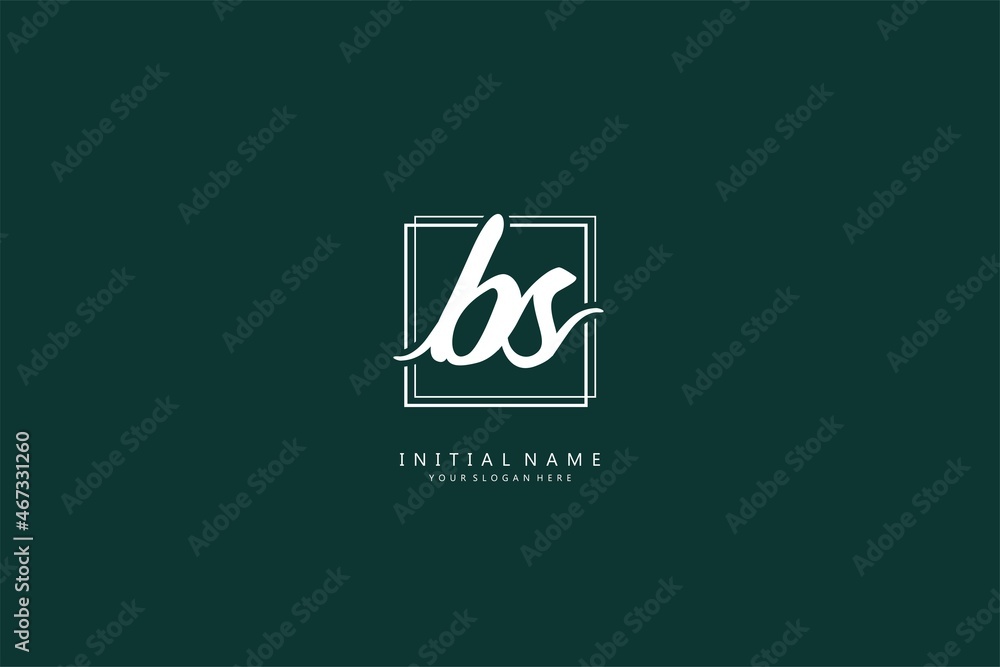 B S BS logo, Initial lettering handwriting or handwritten for identity. Logo with signature and hand drawn style. B S BS logo, Initial lettering handwriting or handwritten for identity. Logo with signature and hand drawn style.