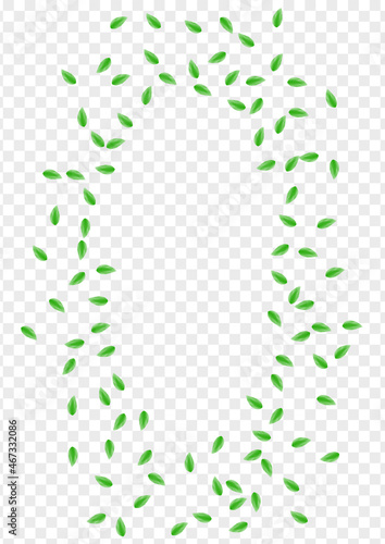 Light Green Greenery Background Transparent Vector. Leaves Flora Design. Clear Frame. Greenish Air Illustration. Leaf Wild.