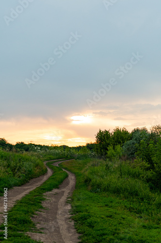 A road, among grasses and meadows, leading into the sunset. Amazing sunset colors, in the sky, and juicy green colors of herbs, on the ground.