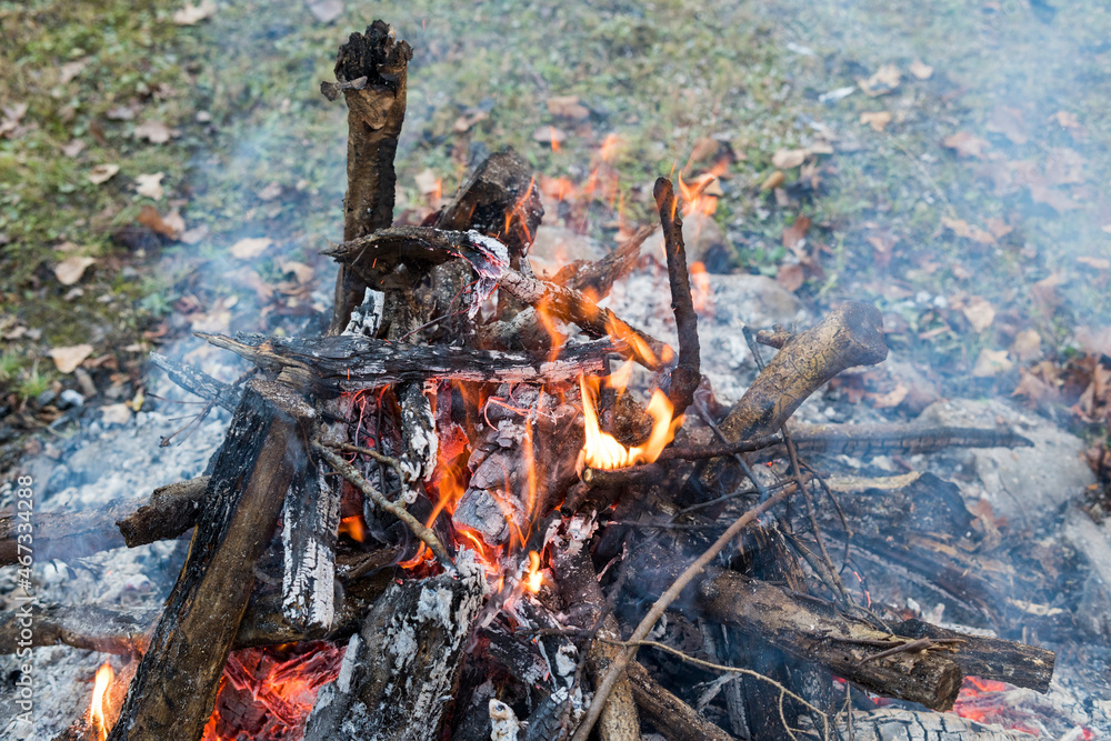 fire in the garden fire in the garden