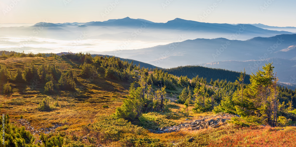 Fantastic peaks of the Ukrainian Carpathians, glowing with sunlight. Scenic morning scene. Natural wallpaper. Beauty world.  Location Carpathians, Ukraine, Europe. 