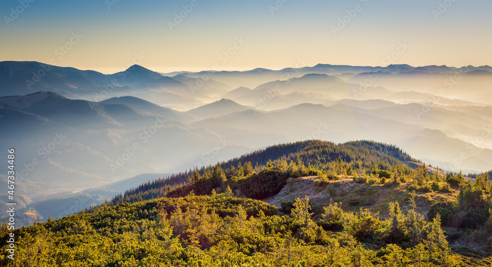 Fantastic peaks of the Ukrainian Carpathians, glowing with sunlight. Scenic morning scene. Natural wallpaper. Beauty world.  Location Carpathians, Ukraine, Europe. 