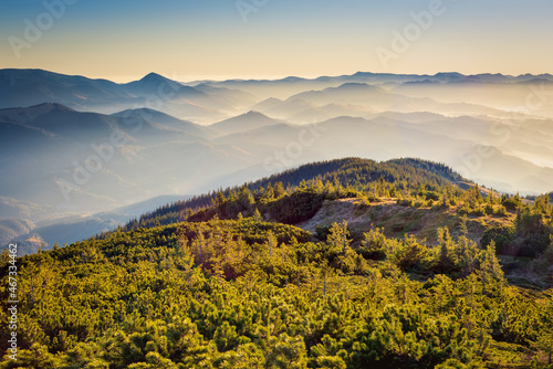 Fantastic peaks of the Ukrainian Carpathians  glowing with sunlight. Scenic morning scene. Natural wallpaper. Beauty world.  Location Carpathians  Ukraine  Europe. 