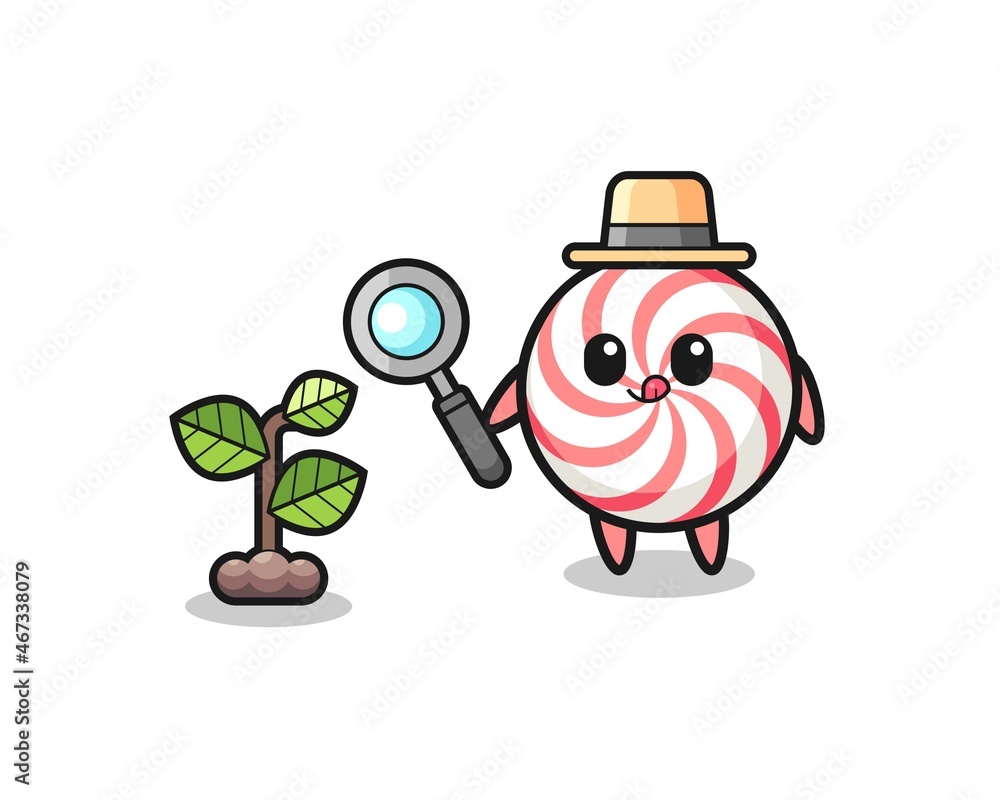 Fototapeta premium cute swirl lollipop herbalist researching a plants