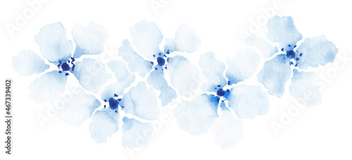 Isolated softness floral set. Blue watercolor flowers on white background. Vintage design element.