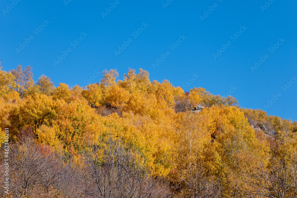 autumn in the mountains