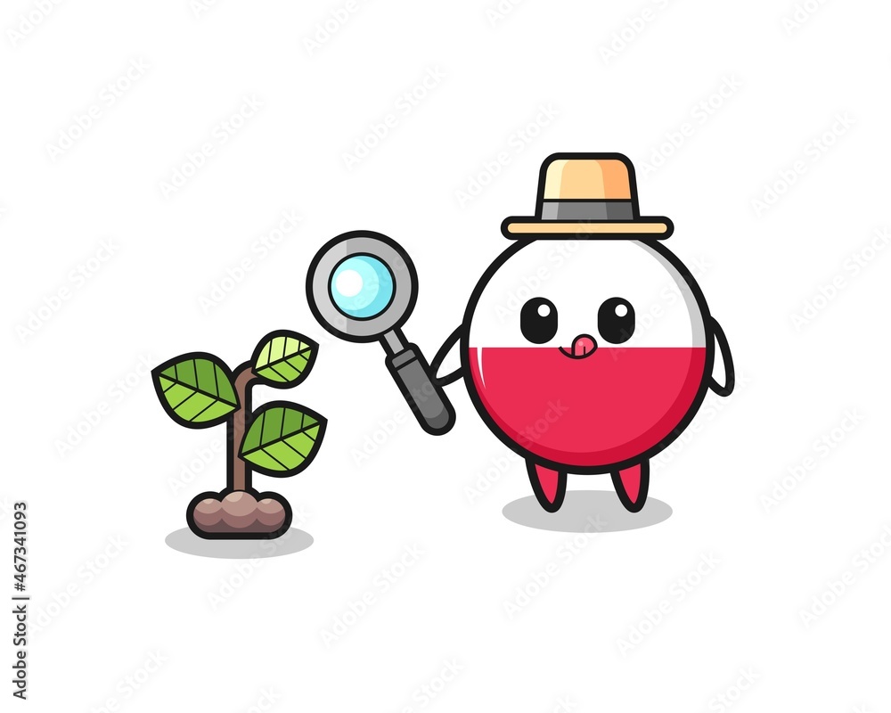 cute poland flag herbalist researching a plants cute poland flag herbalist researching a plants