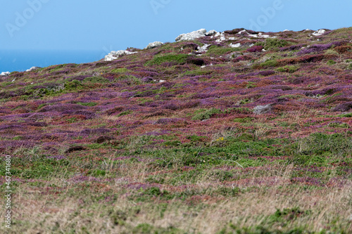 Pointe du Raz