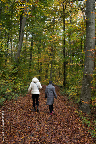 Portrait on back view of women walking in the autumnal forest