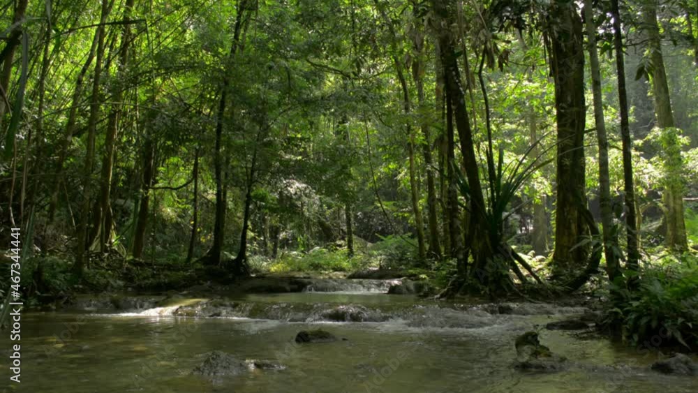 Beautiful scene of water stream flowing over the rocks through lush foliage plants under sunlight in rainforest. Scenery landscape of greenery woodland with small creek in the summer morning. Thailand Beautiful scene of water stream flowing over the rocks through lush foliage plants under sunlight in rainforest. Scenery landscape of greenery woodland with small creek in the summer morning. Thailand