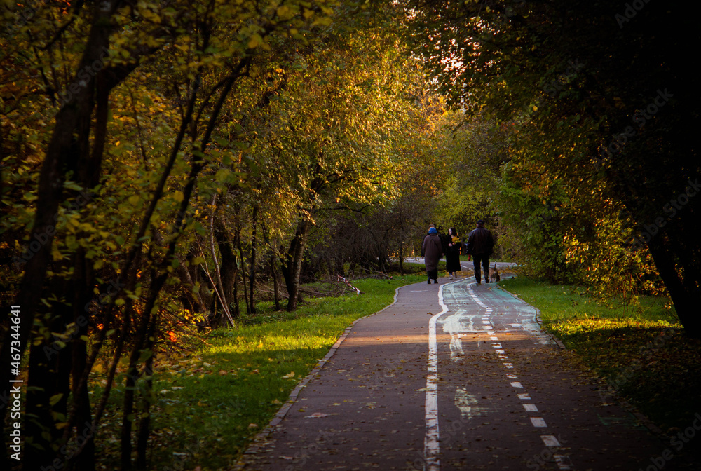 Person walking in the park, autumn
