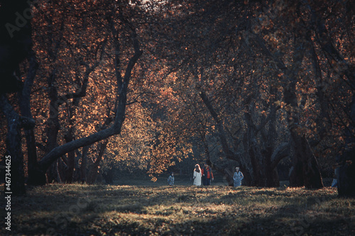 family walking in the woods, autumn