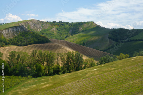 Rural landscape on the hills near  Riolo Terme and Brisighella © Claudio Colombo