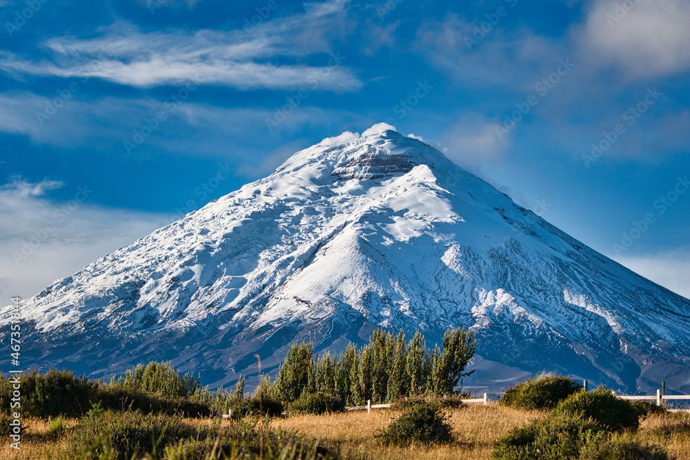 Ecuadorian plateau with Cotopaxi in the background Ecuadorian plateau with Cotopaxi in the background